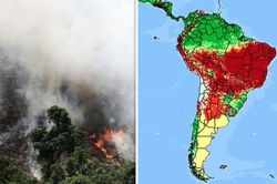 'Ngọn đuốc' rừng Amazon hừng hực cháy hơn nửa tháng, một nửa lãnh thổ Brazil chìm trong biển khói mịt mù