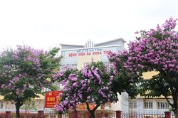 Hà Tĩnh: Xây dựng môi trường khám chữa bệnh 'xanh - sạch - đẹp - an toàn'