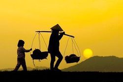 Bức thư của một người con trong mùa Vu lan không mong đợi