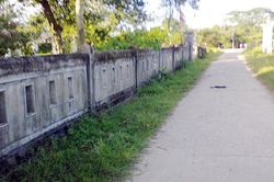 Điệu hồn dân Việt nơi một miền quê
