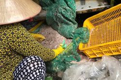Tại sao người Trung Quốc tranh nhau mua bọ 3 sọc?
