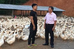 Tự tin làm giàu trên quê hương