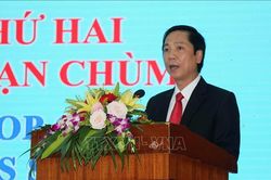 Khảo sát dấu vết bom đạn chùm