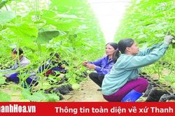 Thọ Xuân tập trung xây dựng huyện nông thôn mới