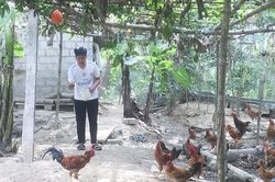 Chông chênh đường đến giảng đường