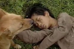 Câu chuyện ly kỳ về chú chó thông minh đóng phim 'Đất phương Nam'