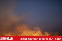 Brazil sẵn sàng tiếp nhận trợ giúp nước ngoài cứu rừng Amazon