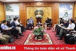Phó Chủ tịch UBND tỉnh đón tiếp và làm việc với Đoàn công tác của Tập đoàn THN Corporation Hàn Quốc