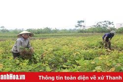 Huyện Hậu Lộc nâng cao hiệu quả hoạt động của các trung tâm học tập cộng đồng