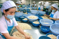 Kim ngạch xuất-nhập khẩu qua biên giới giảm 26%