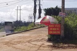 Ia Grai: Công bố dịch tả lợn châu Phi tại xã Ia Der