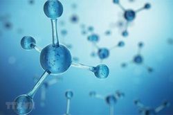 Phương pháp điều trị ung thư mới bằng hạt Nano cho kết quả khả quan