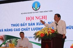 Cả nước có 265 nhà máy sản xuất phân bón hữu cơ