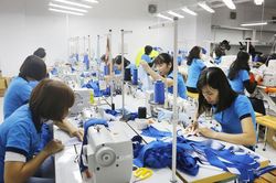 Gần 1.000 người có việc làm ổn định vẫn lĩnh trợ cấp thất nghiệp hơn 10 tỷ đồng