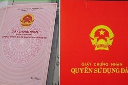 Bắt cán bộ huyện làm sổ đỏ giả vay tiền ngân hàng