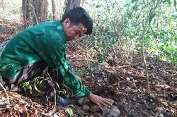 Xác thai nhi lẫn trong rác nhà máy xử lý rác thải Cà Mau