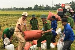 Hà Tĩnh căng mình đối phó bão số 4, gần 13.000 dân sẽ di dời trước 23h đêm nay