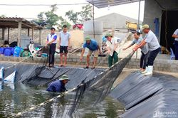 Người dân Nghệ An bán rẻ tôm, di chuyển cá chạy bão số 4