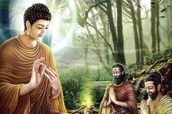 Đức Phật chỉ ra thói xấu khó bỏ quá nhiều người mắc khiến bạn luôn khổ sở, mãi chẳng giàu nổi