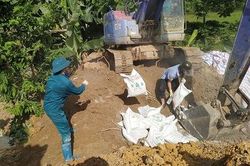 Hơn 40 tỷ đồng hỗ trợ người chăn nuôi bị tiêu hủy lợn