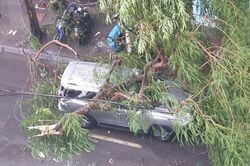 Giông lốc khủng khiếp ở Hà Nội khiến người đi đường hốt hoảng