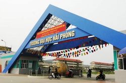 Gần 50 cở sở giáo dục phải dừng cấp chứng chỉ ngoại ngữ và tin học