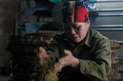 Những hình ảnh về nghề làm tương bần ở tỉnh Hưng Yên
