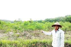 Điều tra vụ chặt phá rừng tại Khu rừng Văn hóa-Lịch sử Chàng Riệc