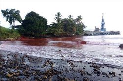 Công ty Trung Quốc làm tràn 200.000 lít bùn độc hại ra biển ở Papua New Guinea