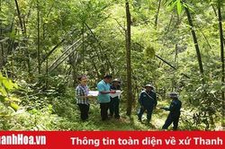 Huyện Quan Sơn: Thực hiện các biện pháp bảo vệ rừng