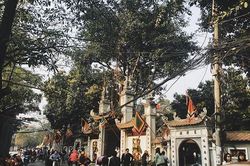Lặn lội ra chùa Hà cầu duyên, thiếu nữ Sài Gòn 'chốt' ngay được chồng thoát kiếp FA