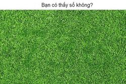 Thử tài tinh mắt, tìm con số ẩn trong bức hình
