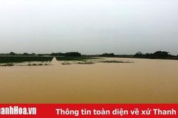 Huyện Thọ Xuân: Hàng nghìn hộ dân xã Quảng Phú bị chia cắt vì nước sông Cầu Chày dâng cao