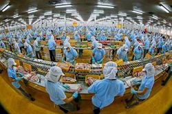 Làm gì để doanh nghiệp hiểu đúng, hiểu sâu về CPTPP?