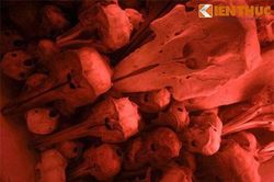 Hàng chục bộ xương kỳ lạ trong ngôi đình cổ