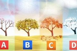 Trắc nghiệm: Bạn có phải là kẻ đa tình, trăng hoa?