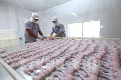 EVFTA: Cơ hội nào cho xuất khẩu nông sản Việt?