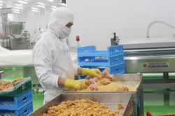 Vốn FDI vào Đồng Nai tăng nhanh