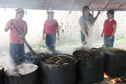 Phụ nữ xã Liêm Phú liên kết sản xuất cao dược liệu