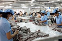 Doanh nghiệp dệt may nào lãi cao nhất 6 tháng?