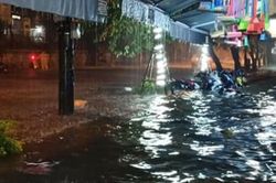 Hà Nội: Nhiều tuyến phố bị ngập, xà cừ bật gốc sau trận mưa thâu đêm