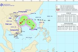 Đường đi dị thường của áp thấp nhiệt đới nguy cơ mạnh lên thành bão số 5
