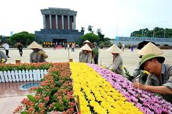 Những người dệt thảm hoa, vườn cảnh quanh Lăng Bác