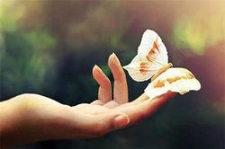 29 câu nói thay đổi số phận của mỗi con người