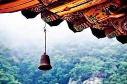 Sống ở đời chớ nên giành giật, mọi sự đã có trời xanh an bài
