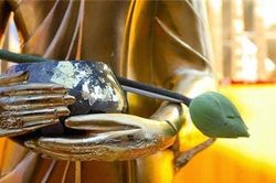 3 món nợ tuyệt đối không nên mắc khi ở độ tuổi trung niên