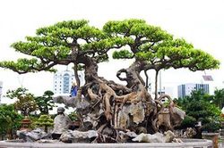 5 điều giúp bạn may mắn gặp được quý nhân