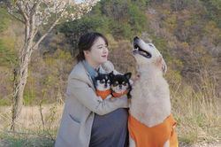 Ẩn ý giải nghệ sau vụ ly hôn Ahn Jae Hyun, Knet lo lắng Goo Hye Sun tự tử