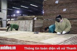 Tạo động lực phát triển kinh tế tư nhân