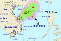 Áp thấp nhiệt đới liên tục đổi hướng, từ Nghệ An đến Thừa Thiên Huế mưa rất to